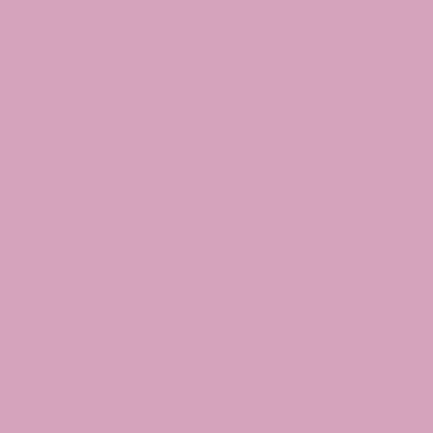 Bespoke Decor Colour page - No.CB3 - Shallot paint